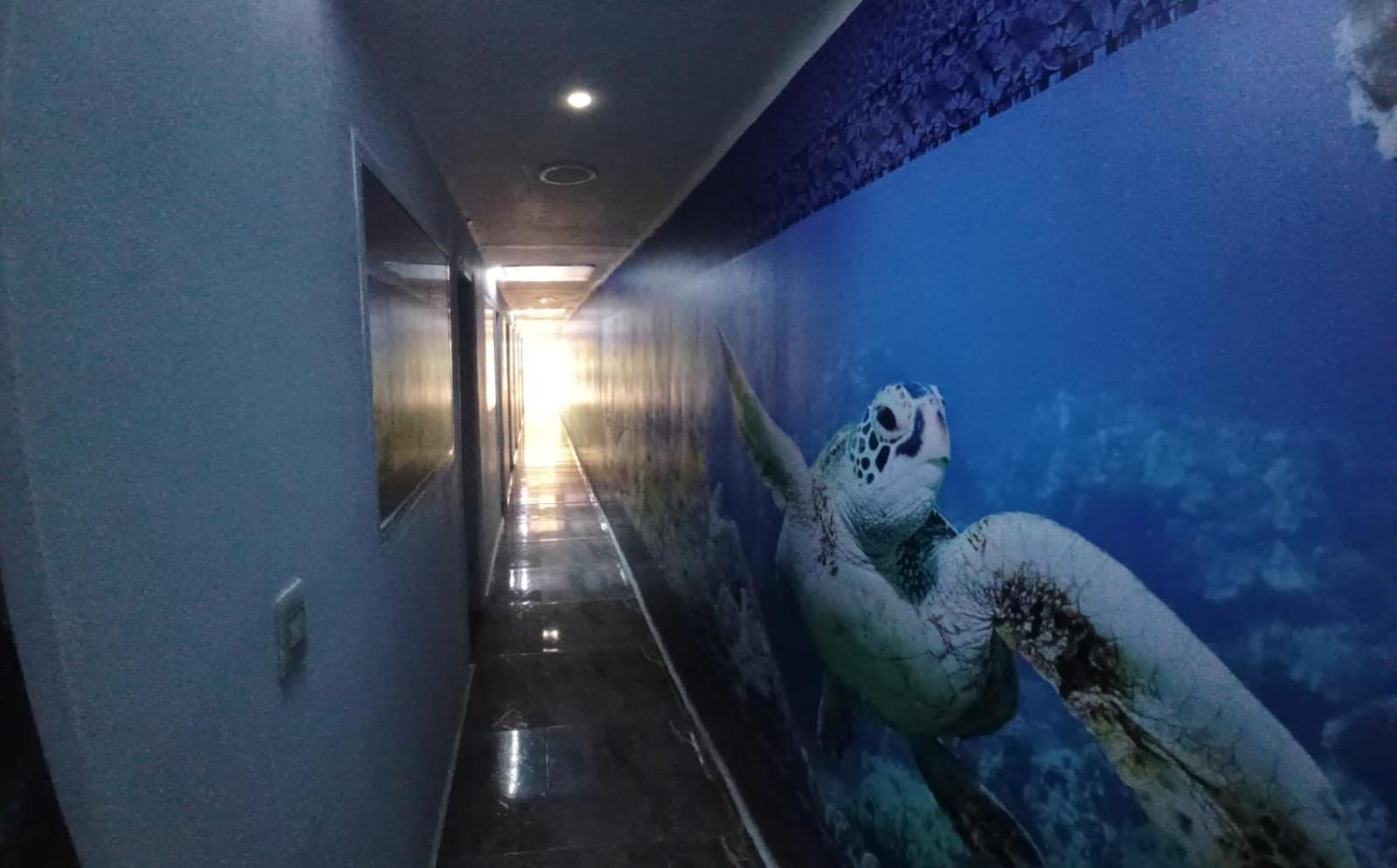 Hotel Dmauro Kartagena Zewnętrze zdjęcie